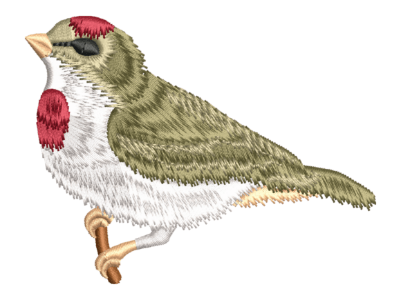Red Capped Songbird Embroidery Review